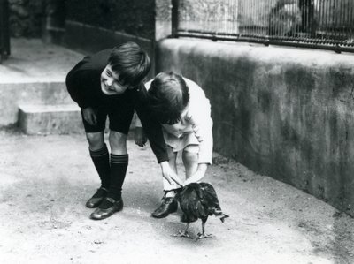 Zwei junge Besucher treffen einen zahmen Striated Caracara im Londoner Zoo, Juni 1914 von Frederick William Bond